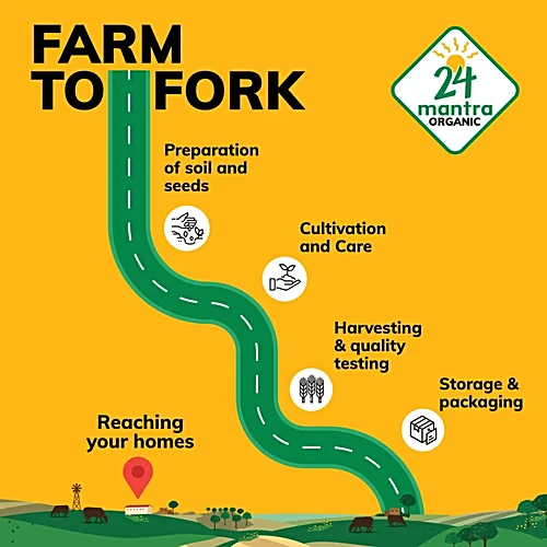 24 Mantra Organic Fenugreek Seeds, 100 g Pouch - Image 4